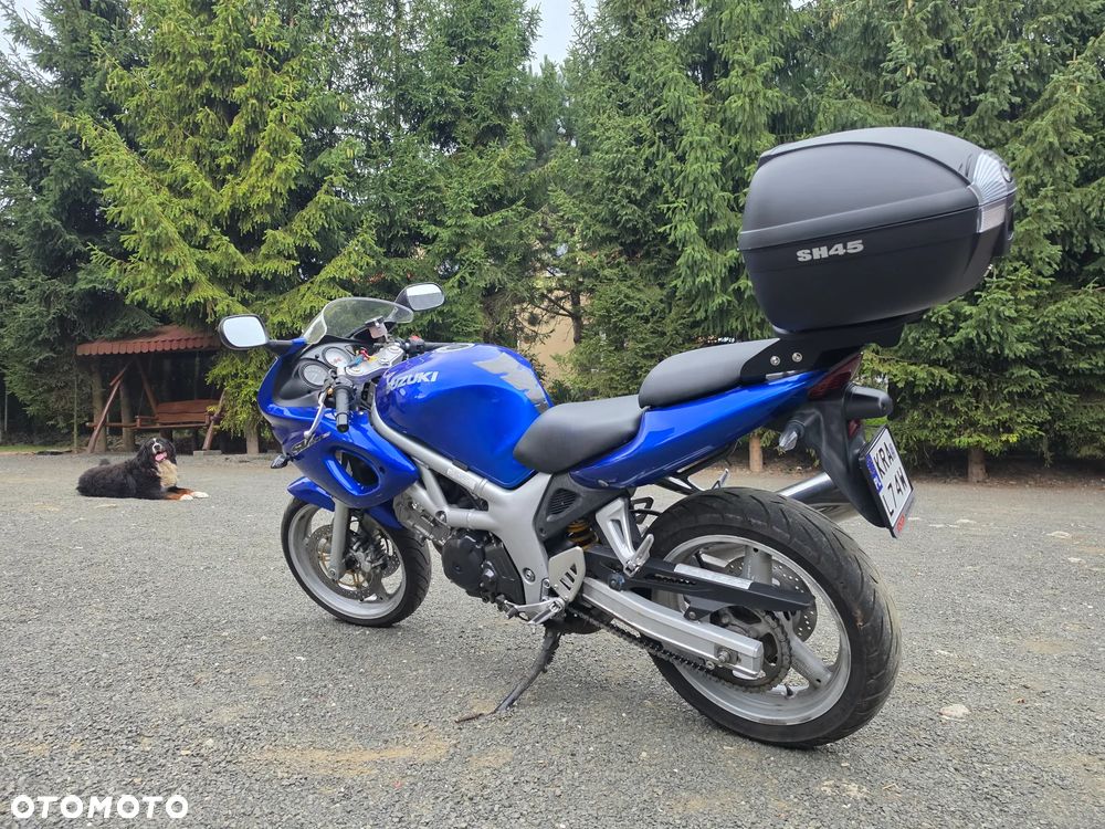 Suzuki SV - 11
