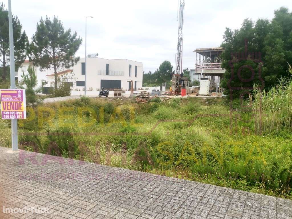 Lote para construção de Moradia - Ançã - Grande imagem: 2/2