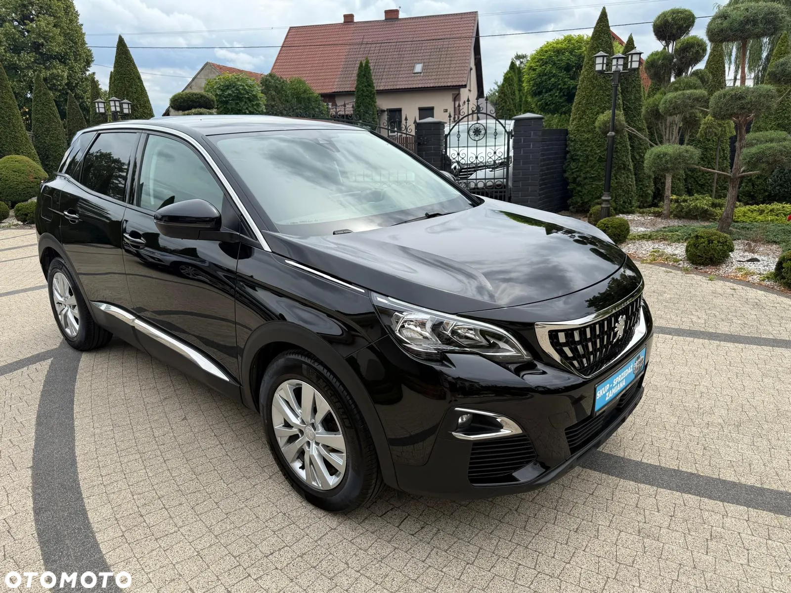 Peugeot 3008 1.5 BlueHDi Active Pack S&S - 23