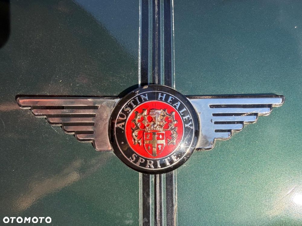 Austin Healey - 13