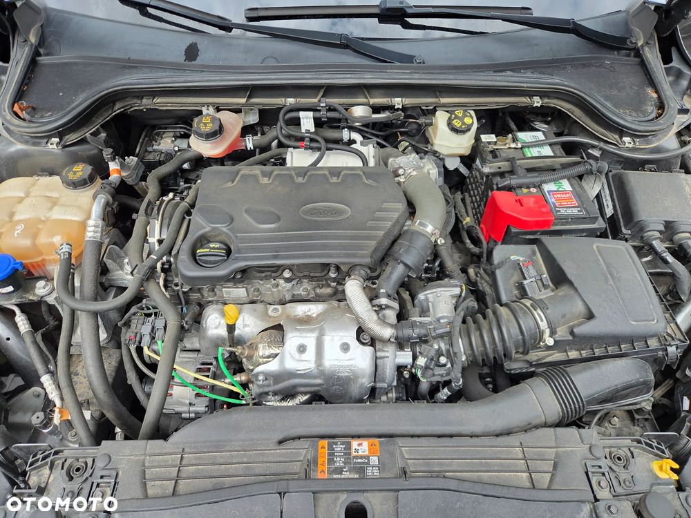 Ford Focus 1.5 EcoBlue ST-Line - 15