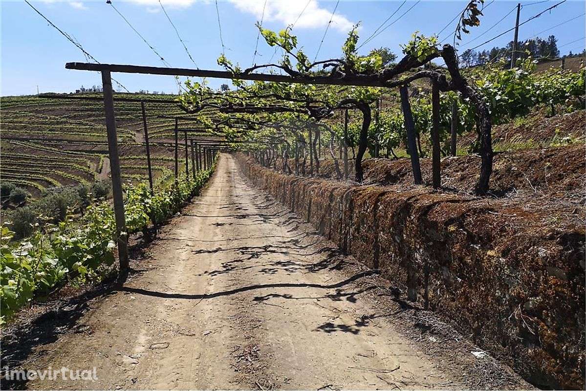 Terreno  para venda - Grande imagem: 3/27