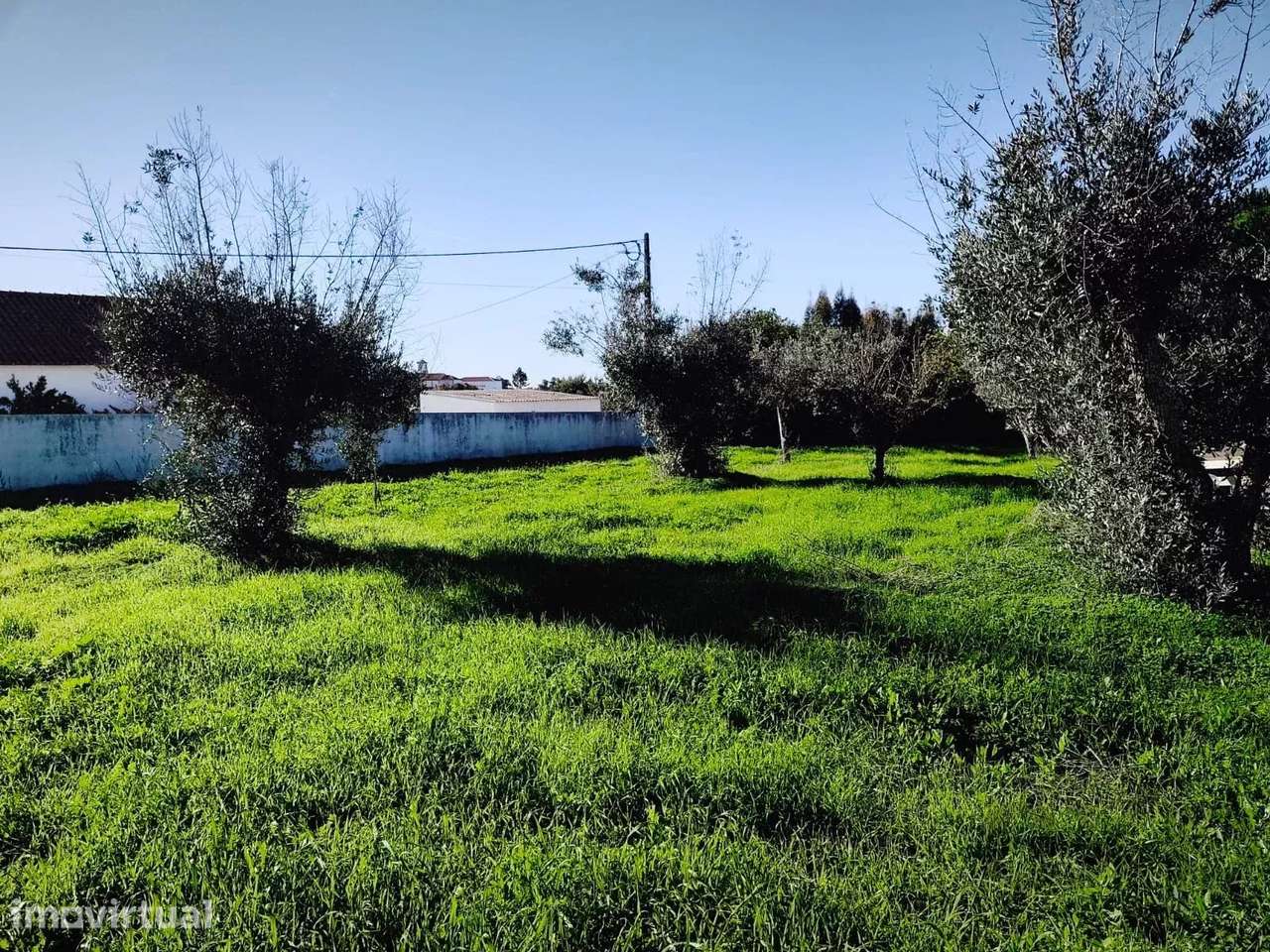 Terreno - Grande imagem: 4/14