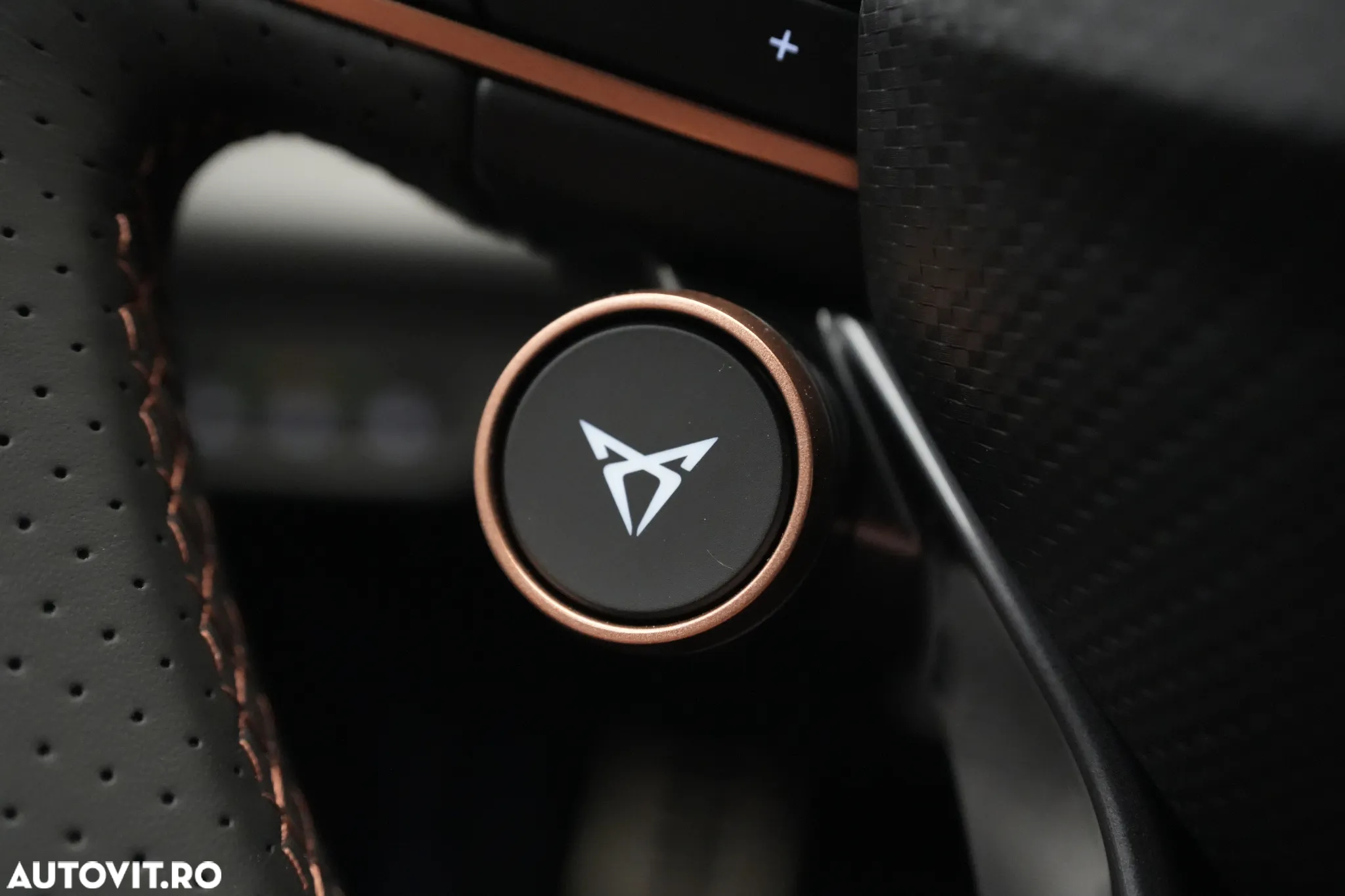 Cupra Terramar - 20