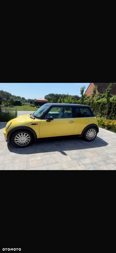 MINI Cooper chili - 2