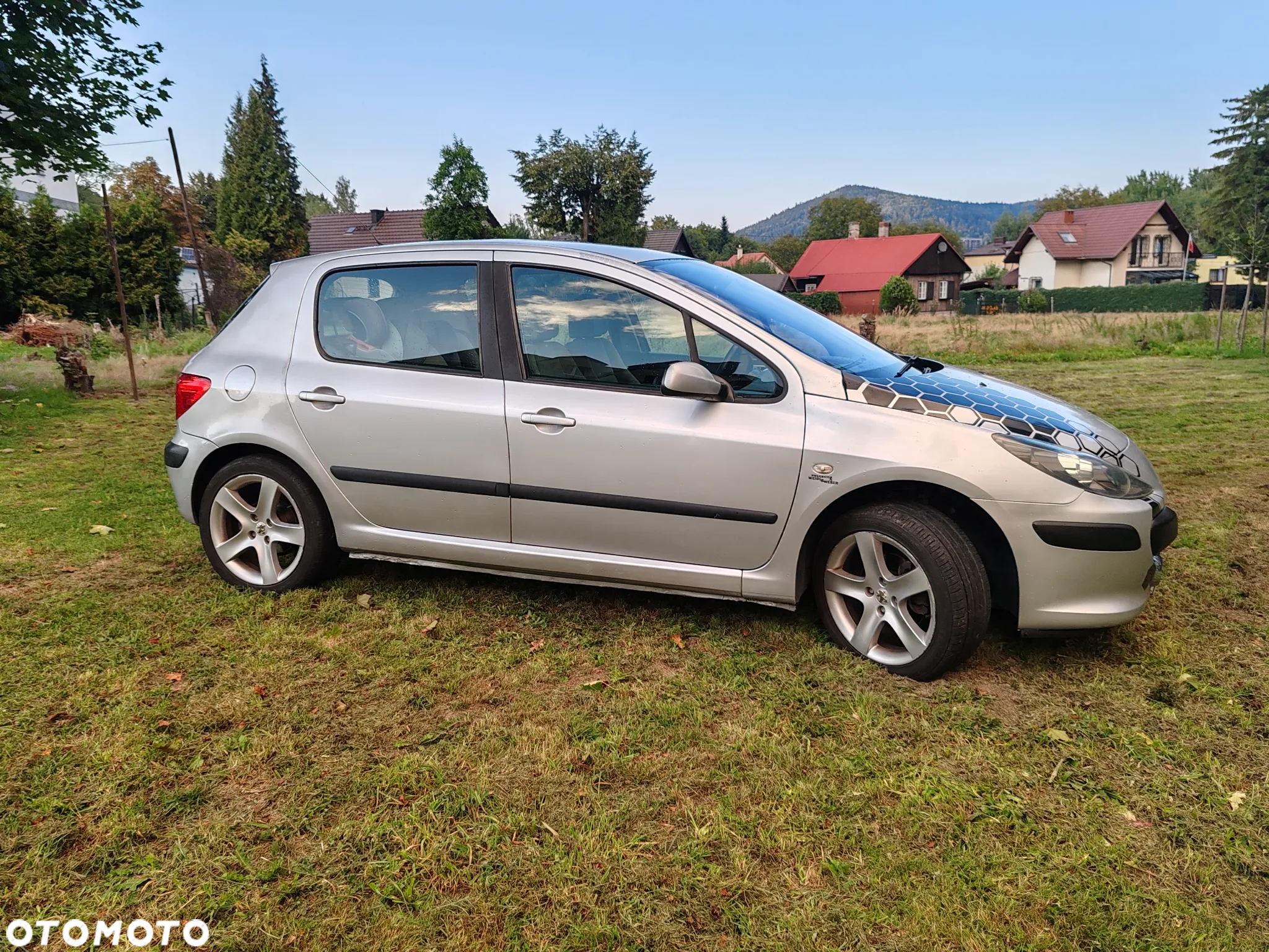 Peugeot 307 HDi Break 110 Sportline - 7