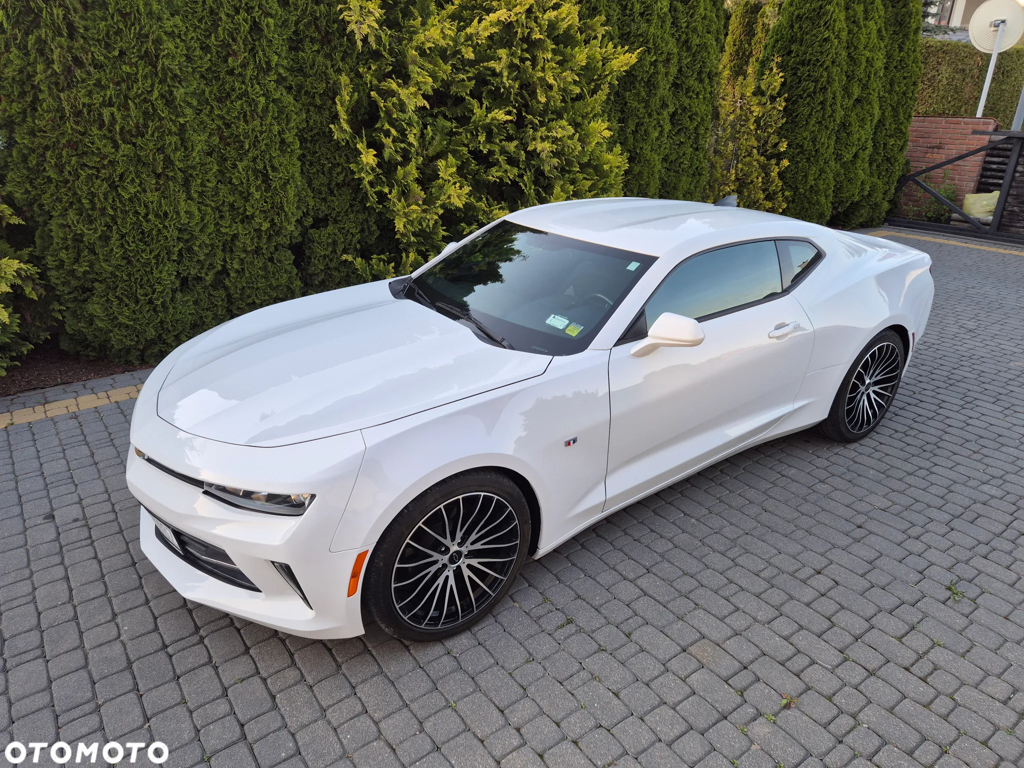 Chevrolet Camaro - 5
