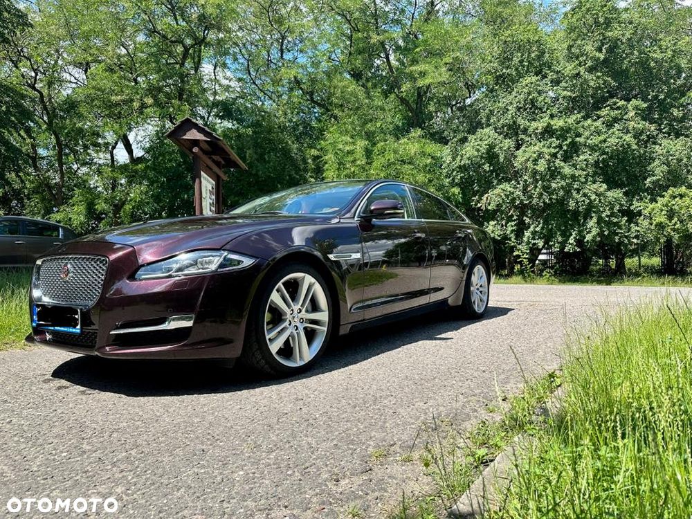 Jaguar XJ 3.0 V6 Kompressor AWD Portfolio - 13