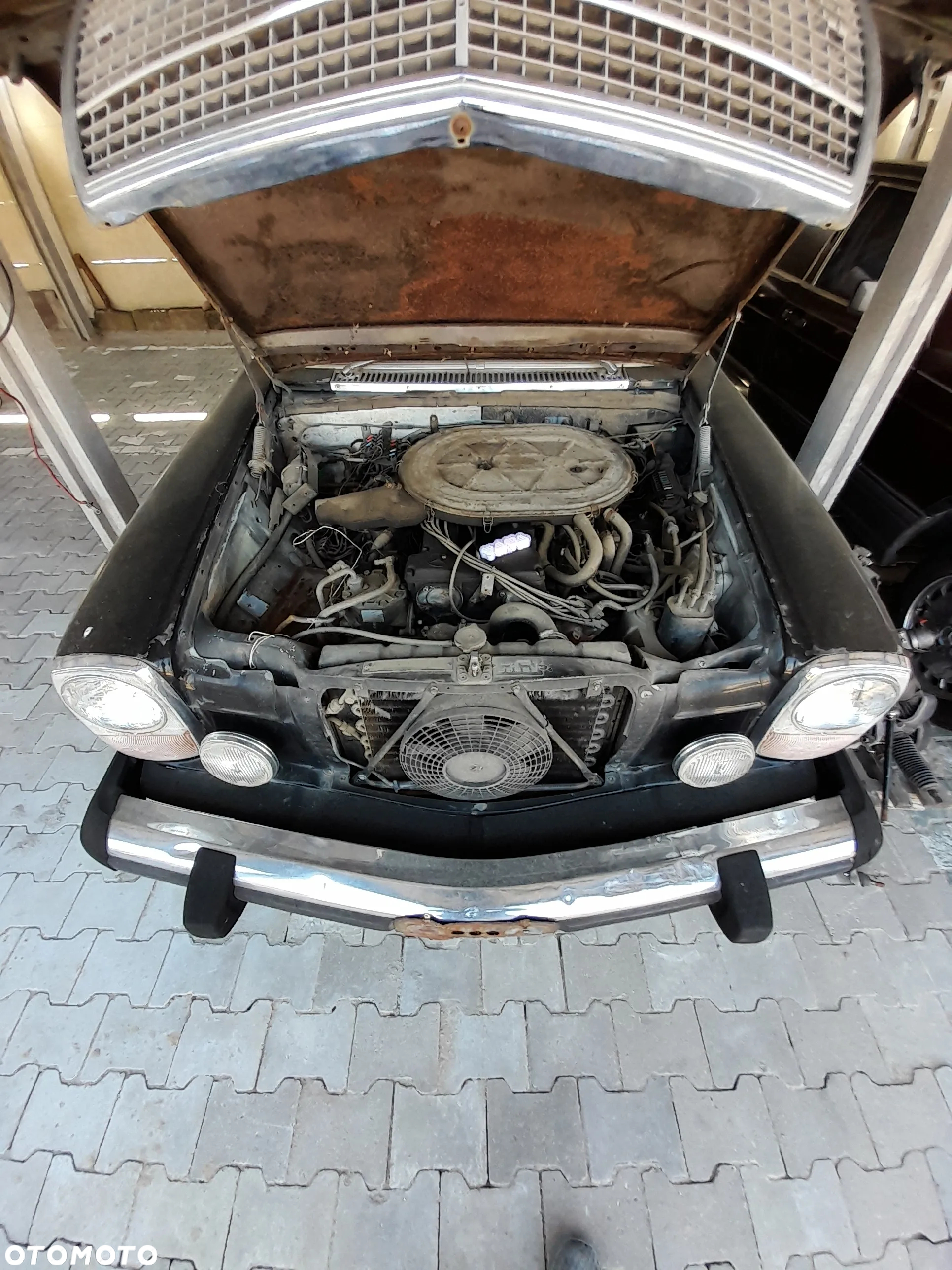 Mercedes-Benz Inny - 10