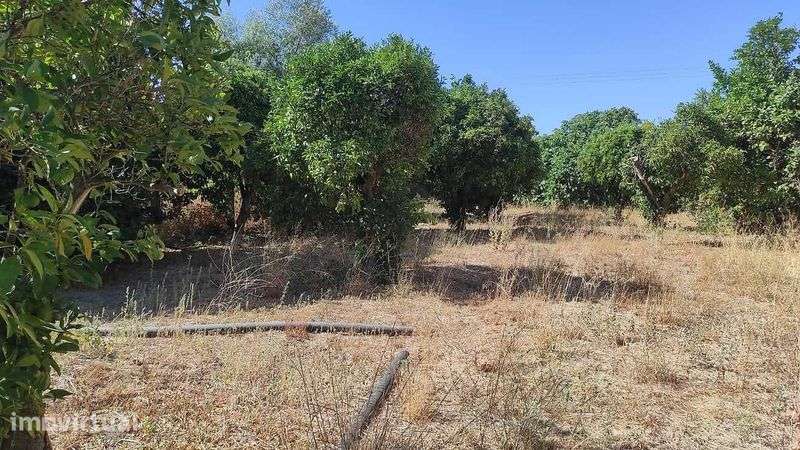 Casa para comprar em Riachos em frente a estação - Grande imagem: 4/12