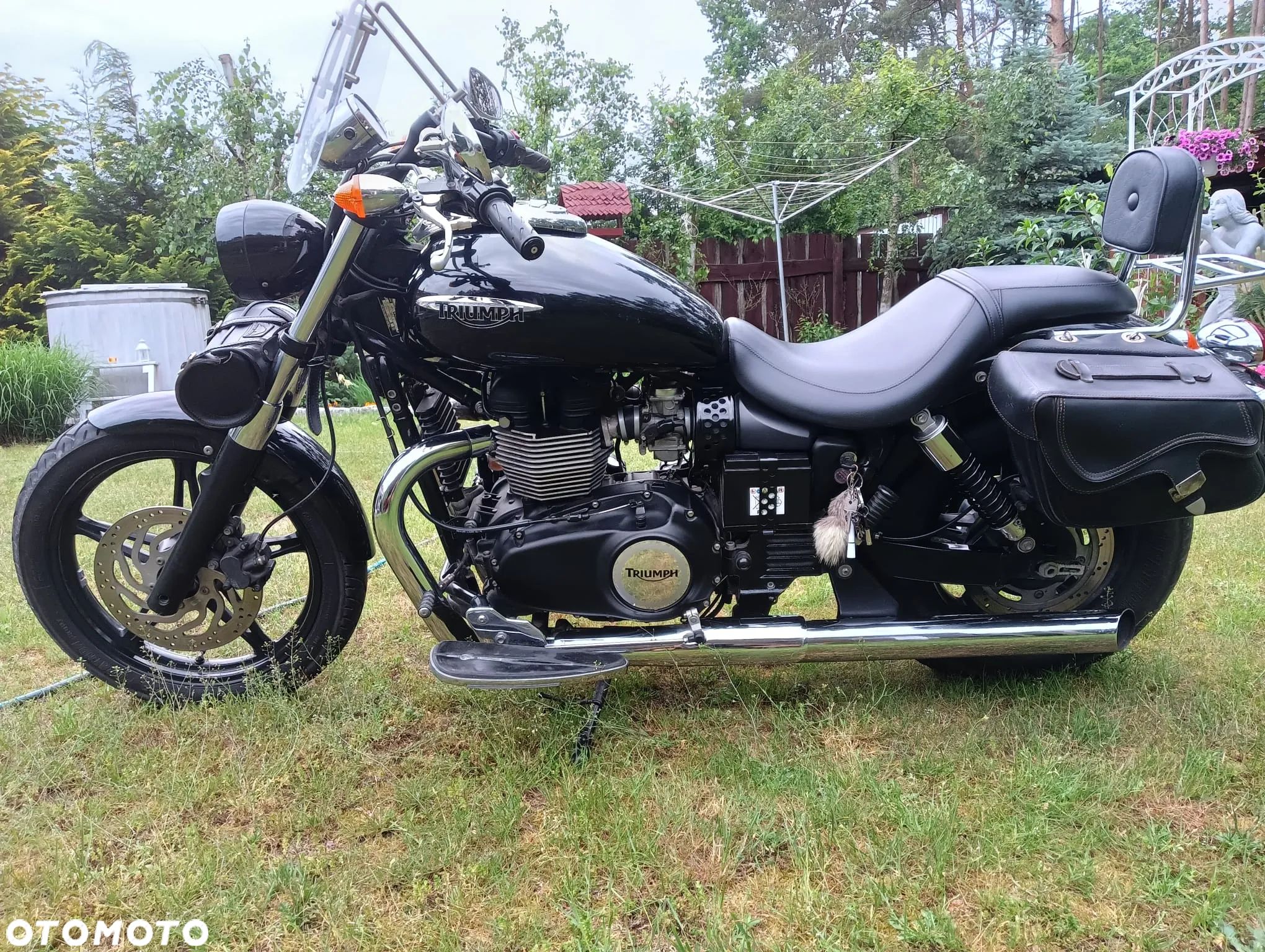 Triumph Speedmaster - 1