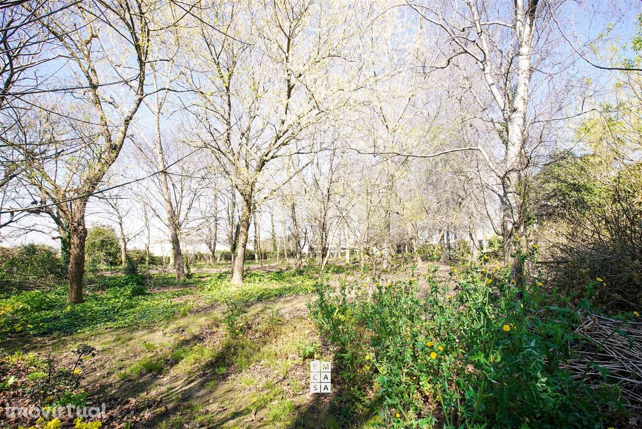 Terreno Para Construção  Venda em Esmoriz,Ovar - Grande imagem: 5/17