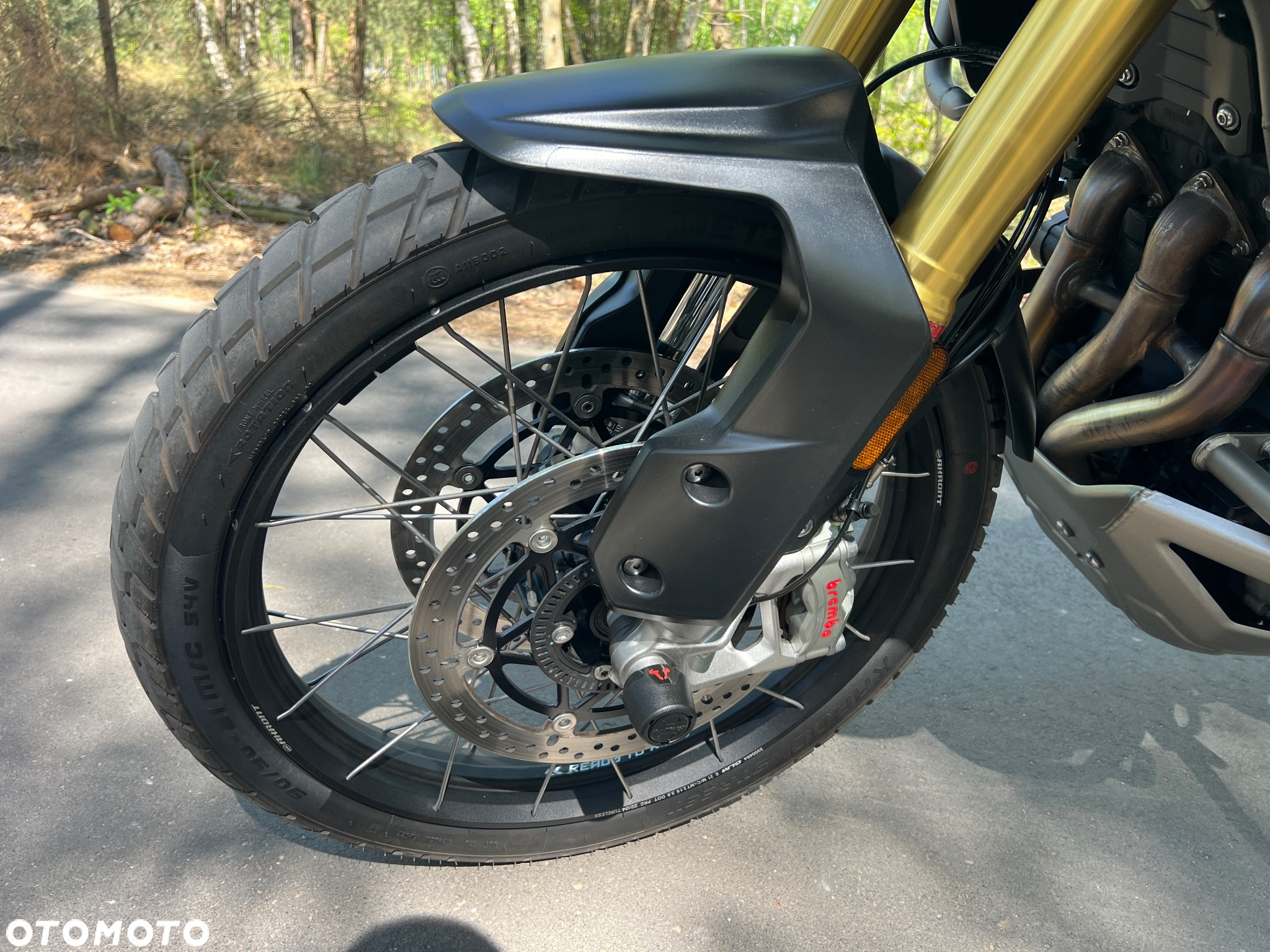 Triumph Tiger - 30