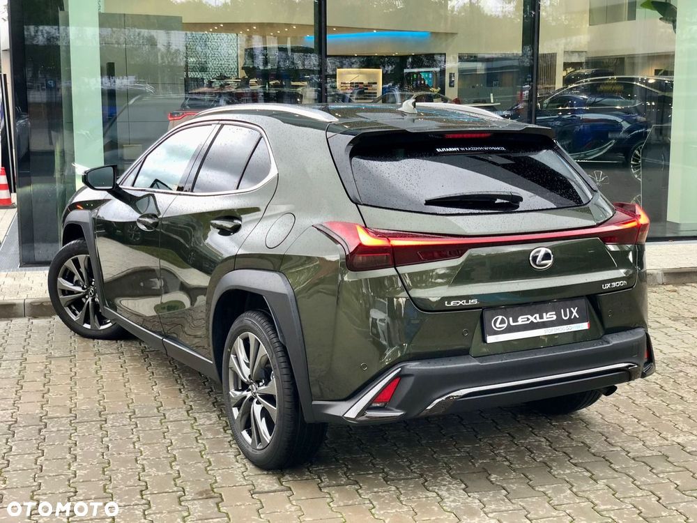 Lexus UX 300h F Sport Design - 11