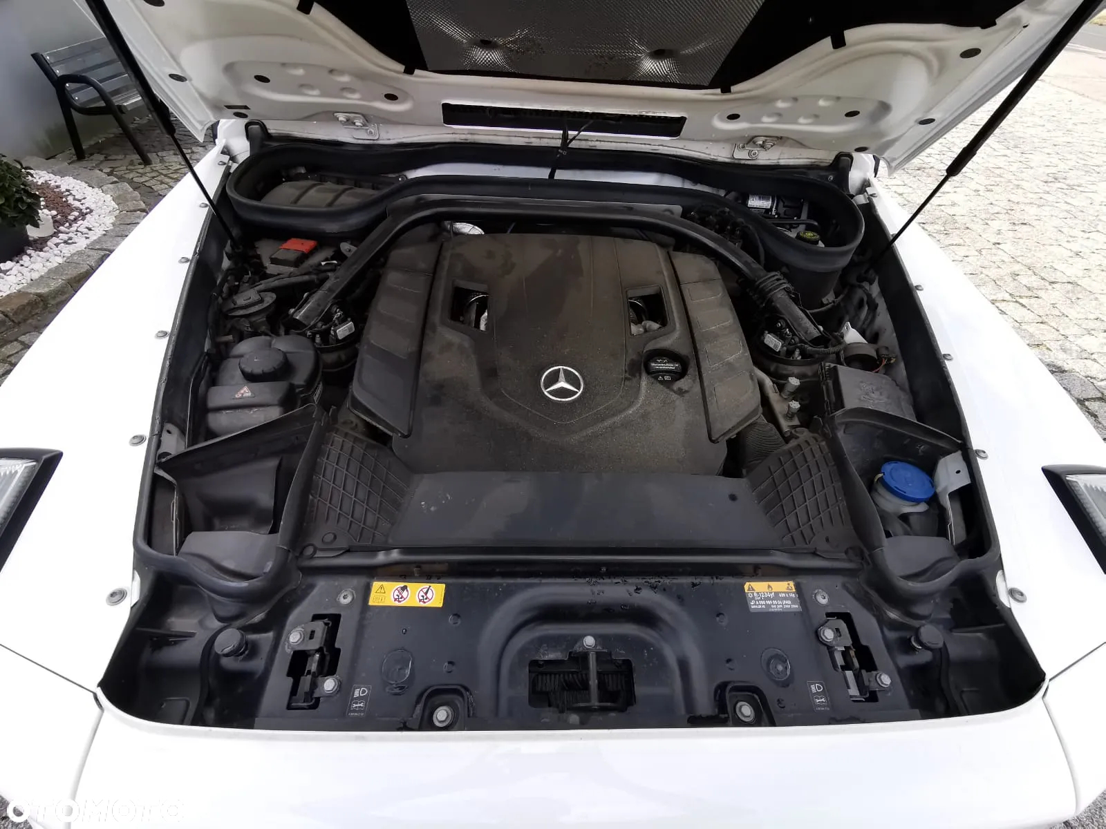 Mercedes-Benz Klasa G 500 - 22