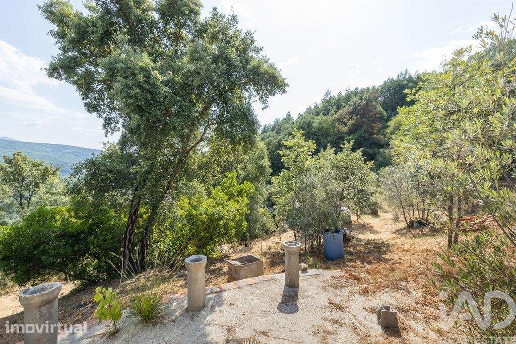 Terreno Agrícola em Sandomil - Grande imagem: 4/13