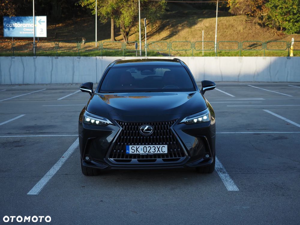 Lexus NX - 20