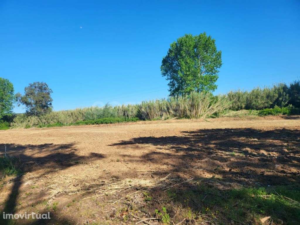 Terreno para Agricultura com 6420m2 no Valado dos Frades- Nazaré - Grande imagem: 2/18