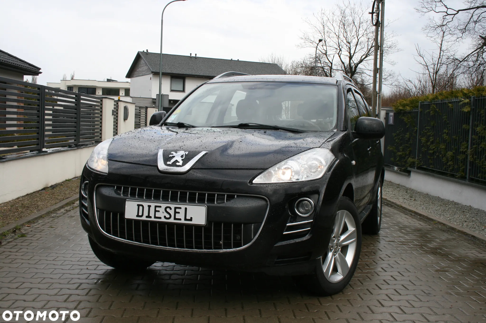 Peugeot 4007 2.2HDi Premium - 2