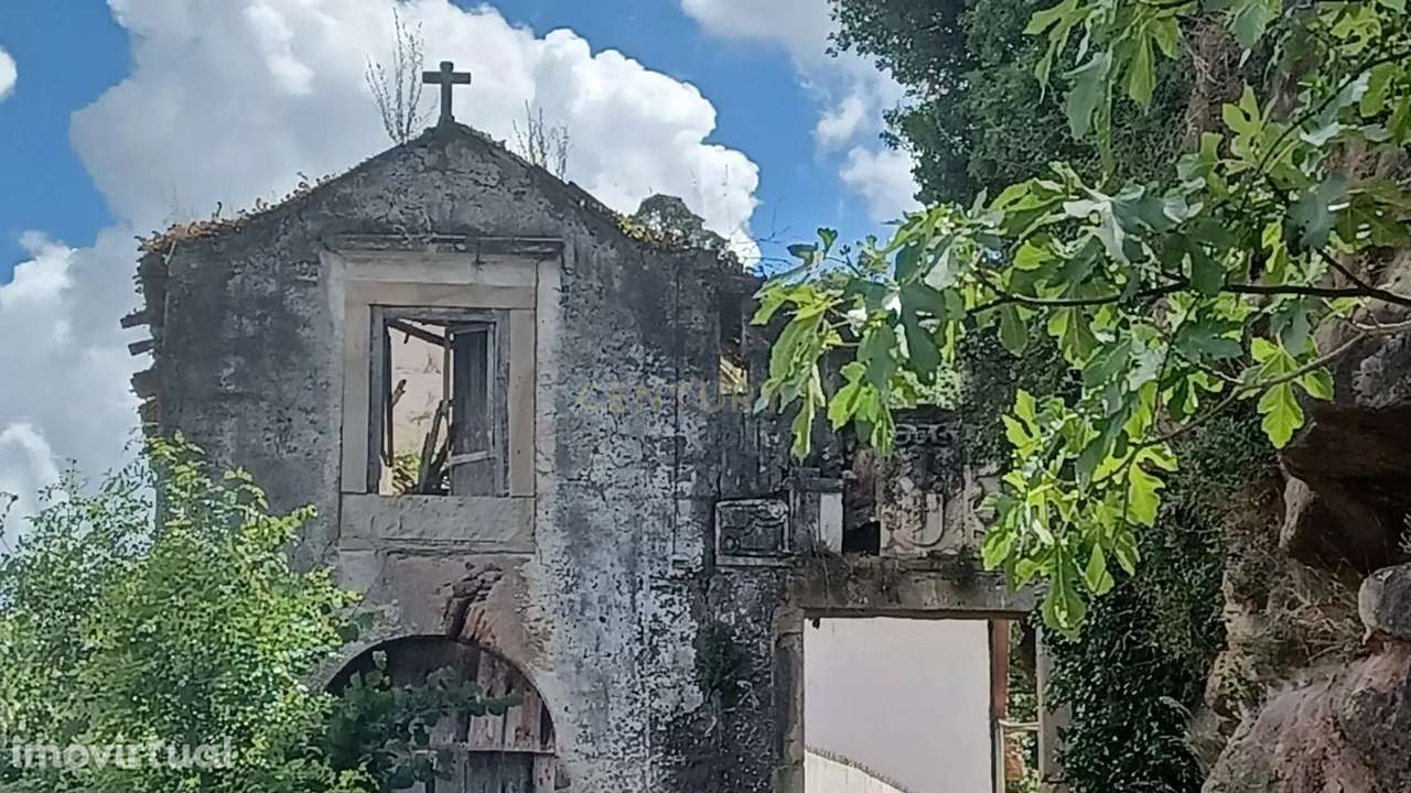 Vendo Quinta em Coimbra - Grande imagem: 3/40