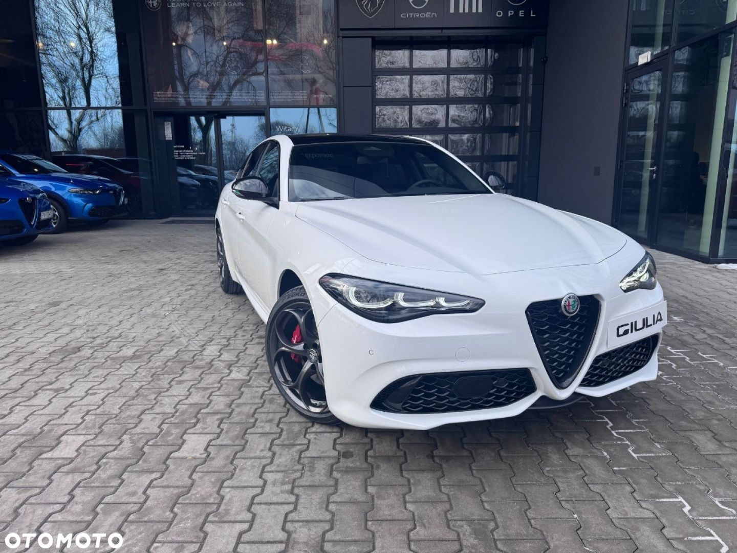 Alfa Romeo Giulia - 5
