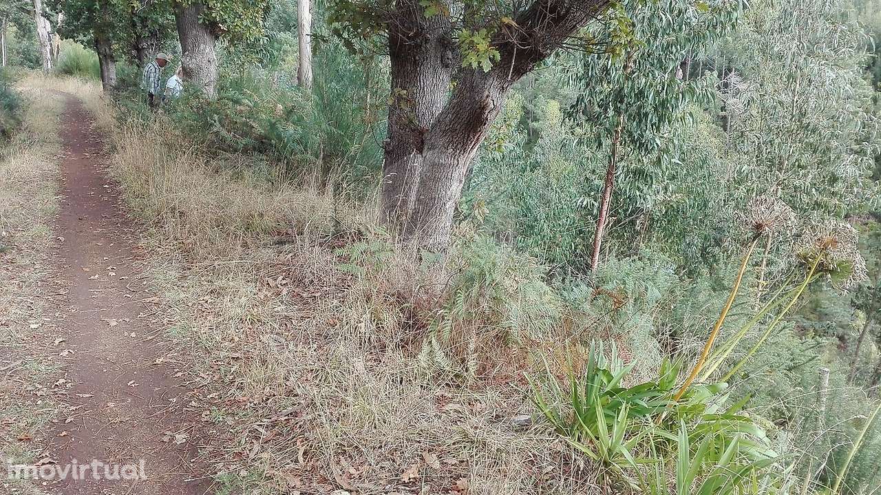 Terreno  para venda - Grande imagem: 4/16