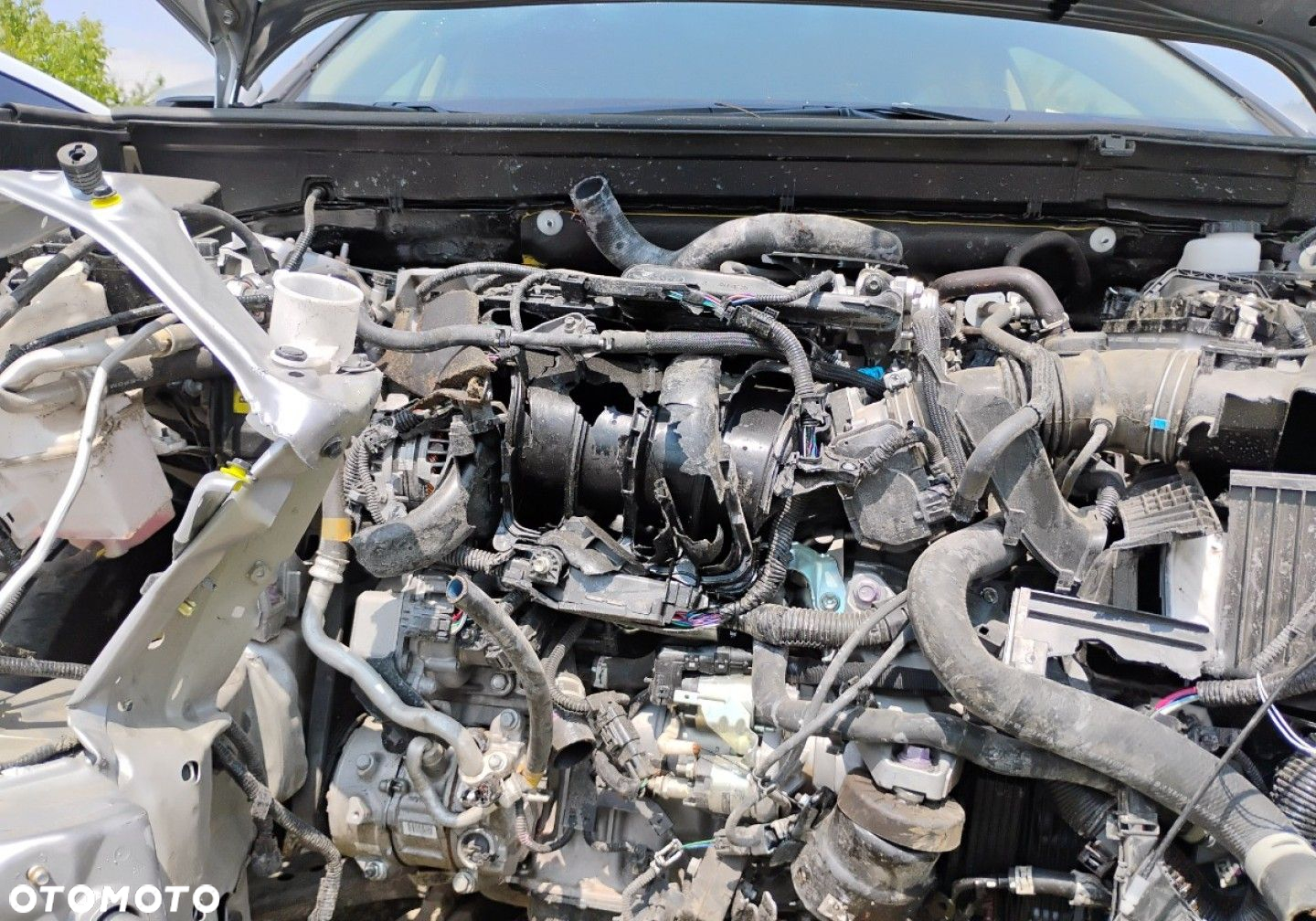Toyota RAV4 - 22