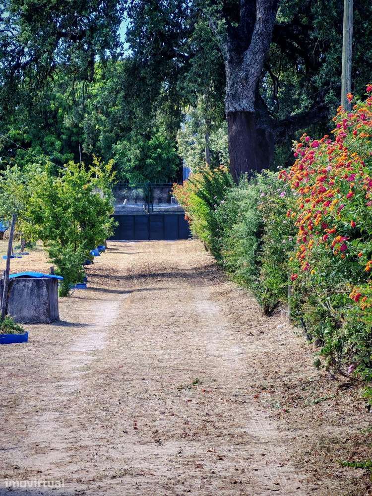 Terreno vedado com infraestruturas de água e eletricidade, em Palmela - Grande imagem: 2/25