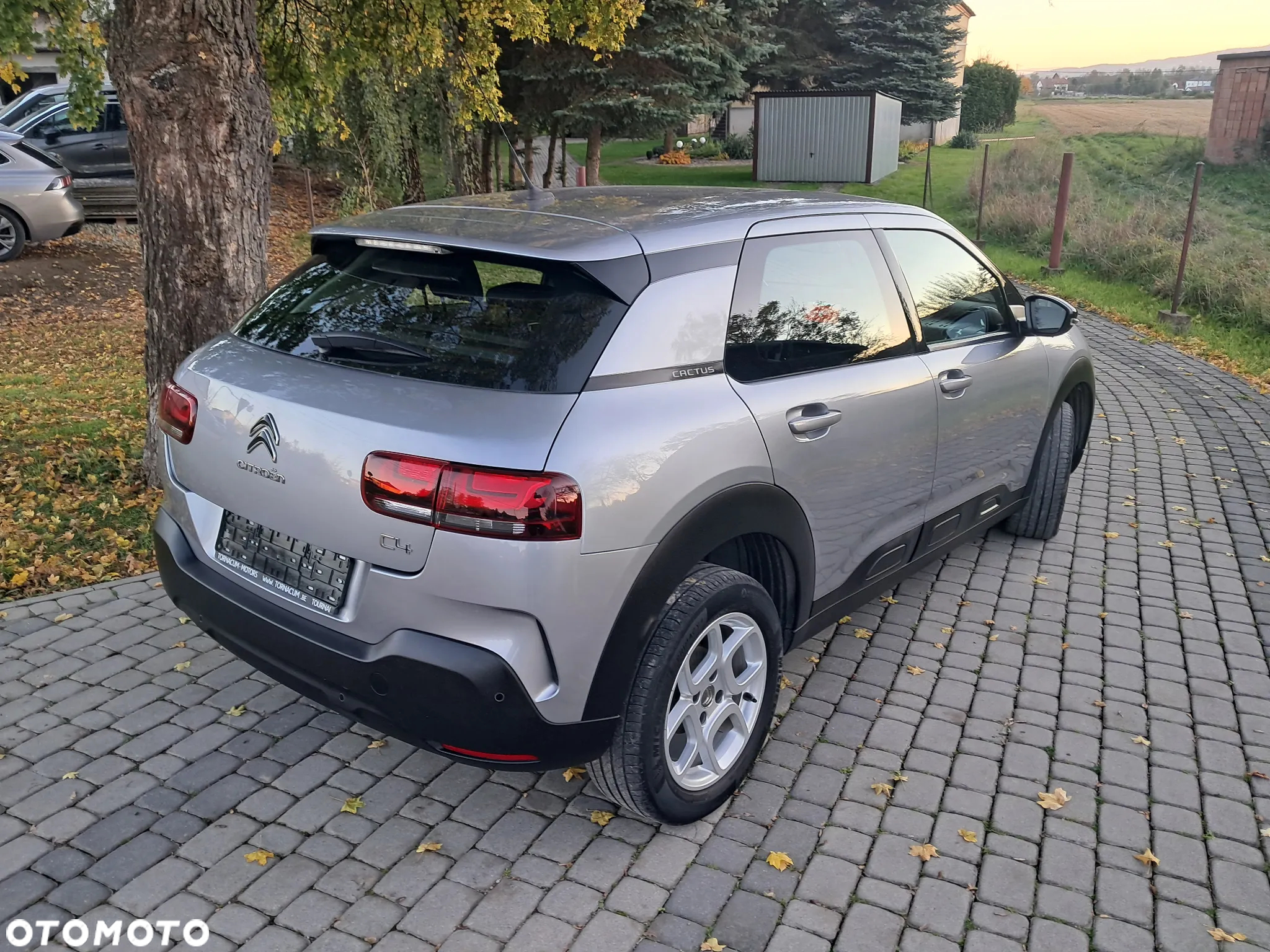 Citroën C4 Cactus PureTech 110 Stop&Start Shine - 6