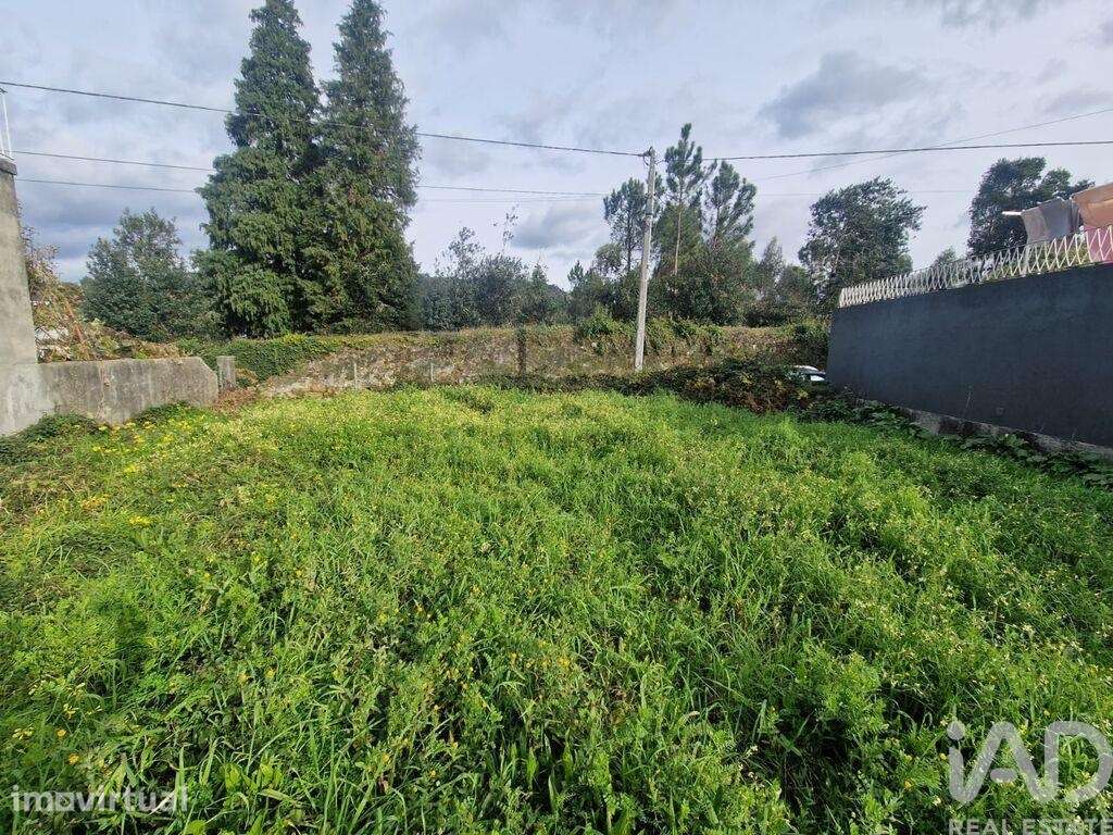 Terreno Agrícola em Santa Marta de Portuzelo - Grande imagem: 2/14