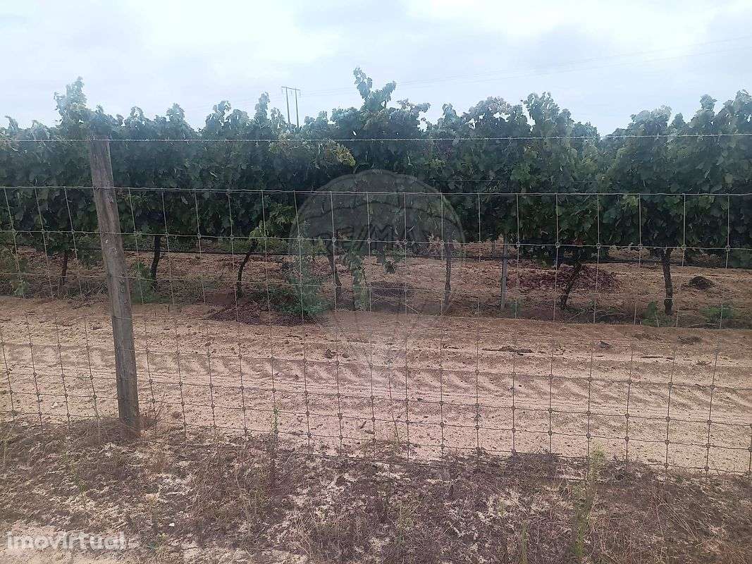 Terreno  para venda - Grande imagem: 2/5