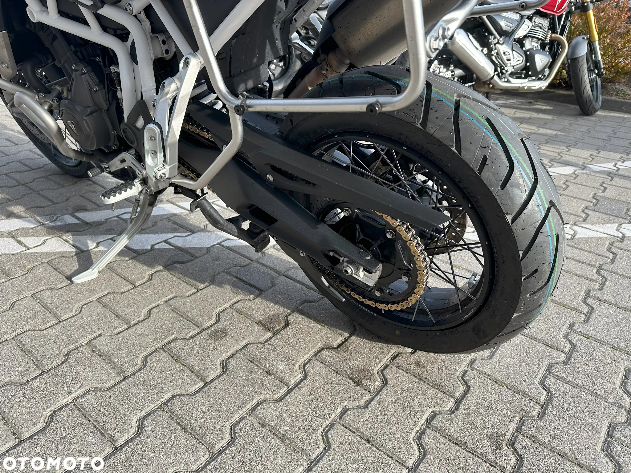 Triumph Tiger - 7