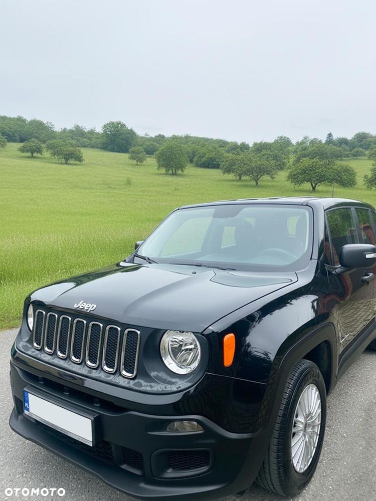 Jeep Renegade 1.6 E-TorQ Sport FWD - 2