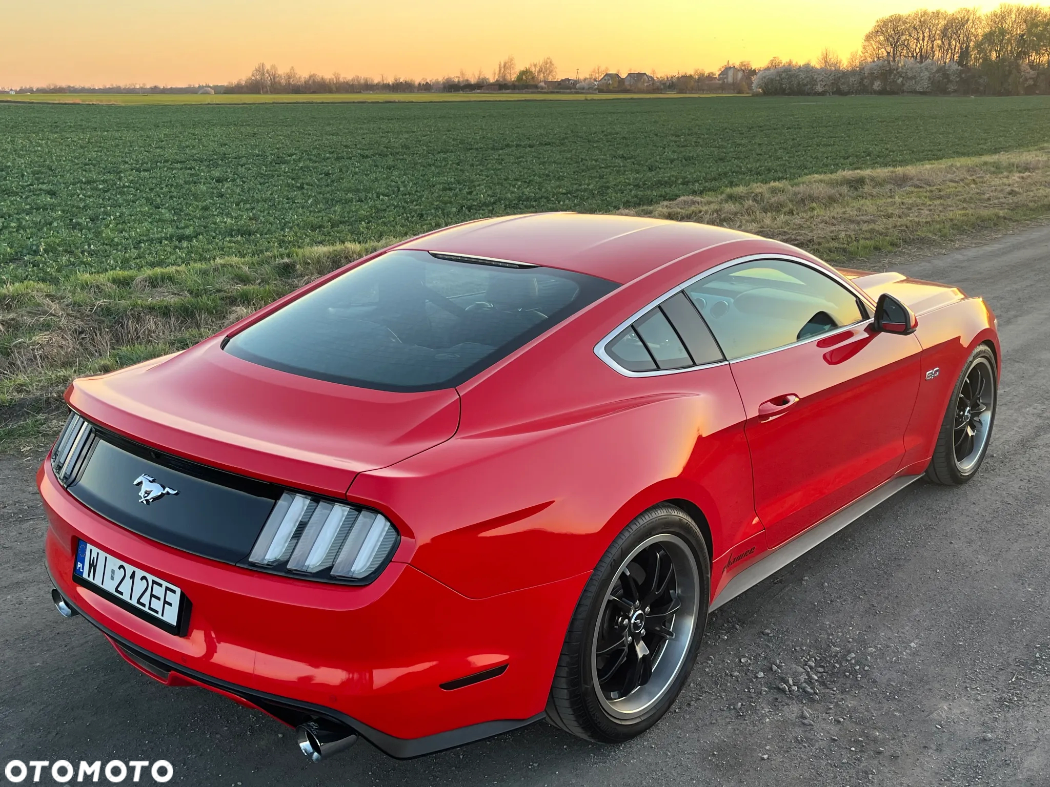 Ford Mustang 5.0 V8 GT - 10