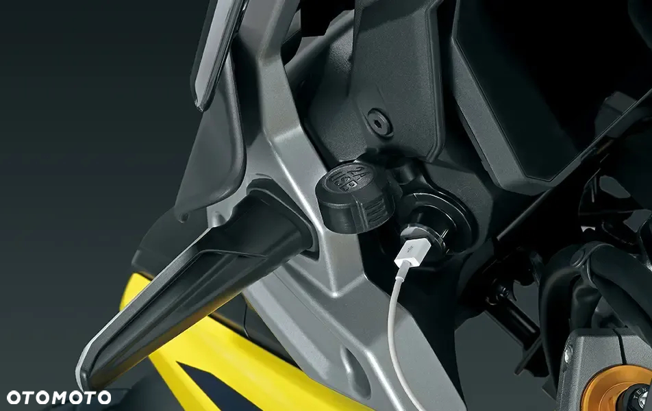 Suzuki V-STROM - 4