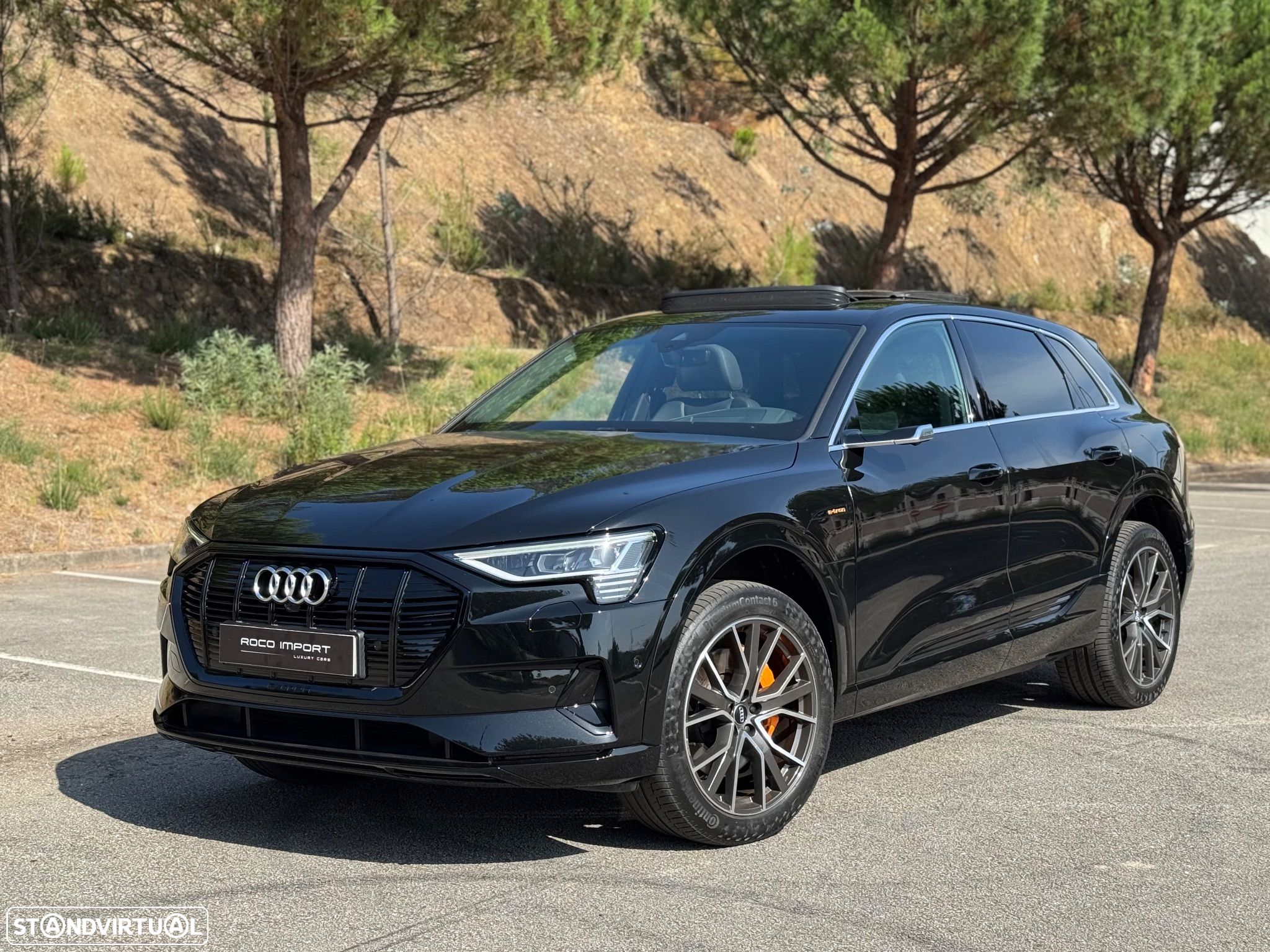 Audi e-tron 55 quattro - 1