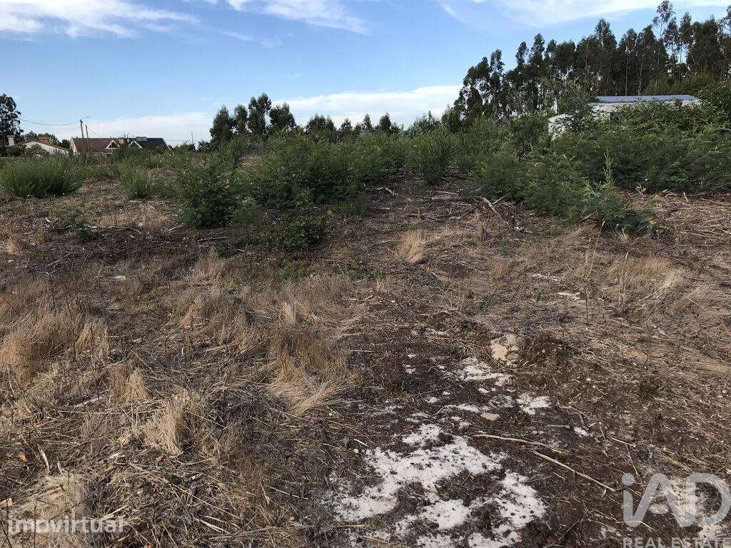 Terreno para construção em Ovar, São João, Arada e São Vicente de Pere - Grande imagem: 4/27