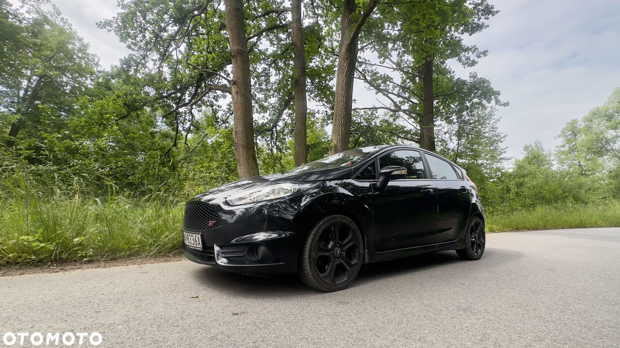 Ford Fiesta 1.6 EcoBoost ST - 2