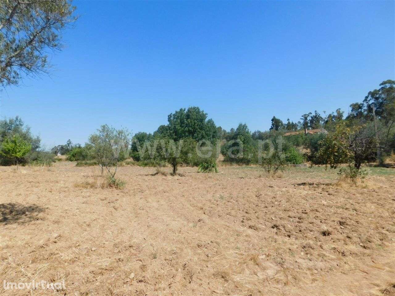 Quinta / Fundão, Quintas da Torre - Grande imagem: 5/7