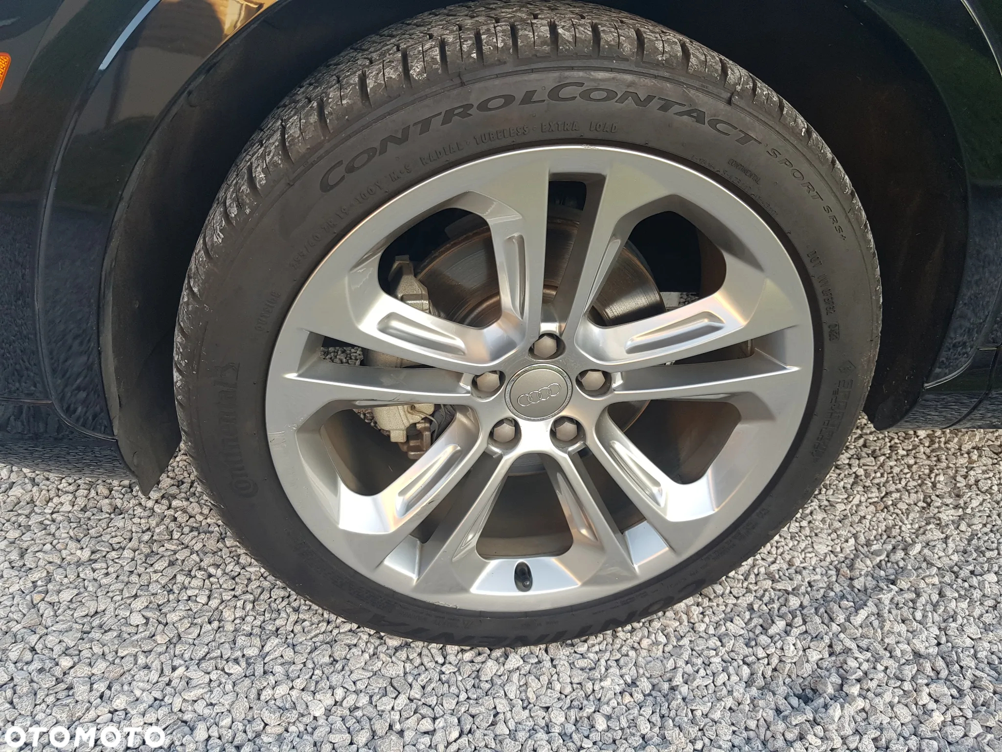 Audi Q3 - 24