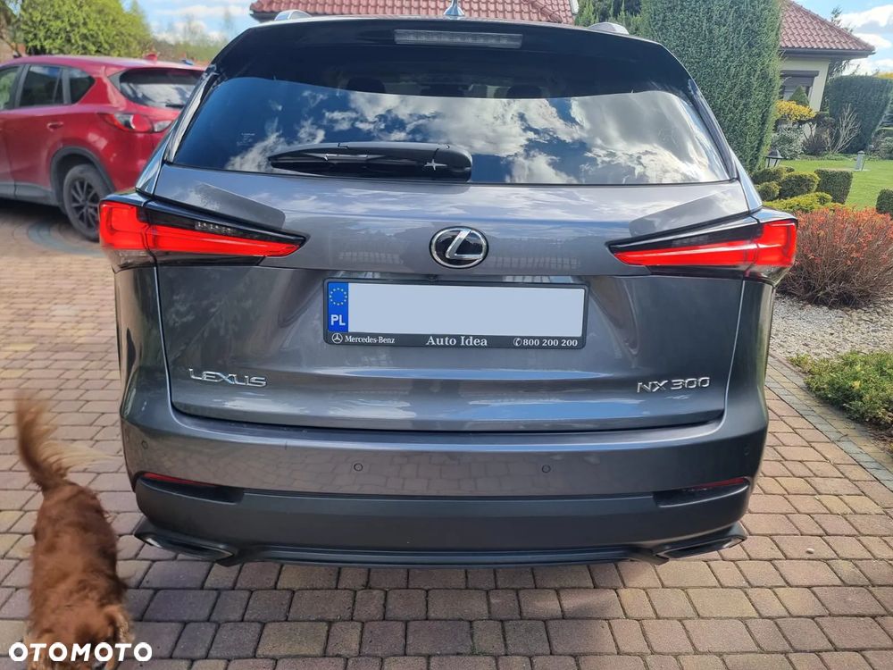 Lexus NX 300 F Impression AWD - 7