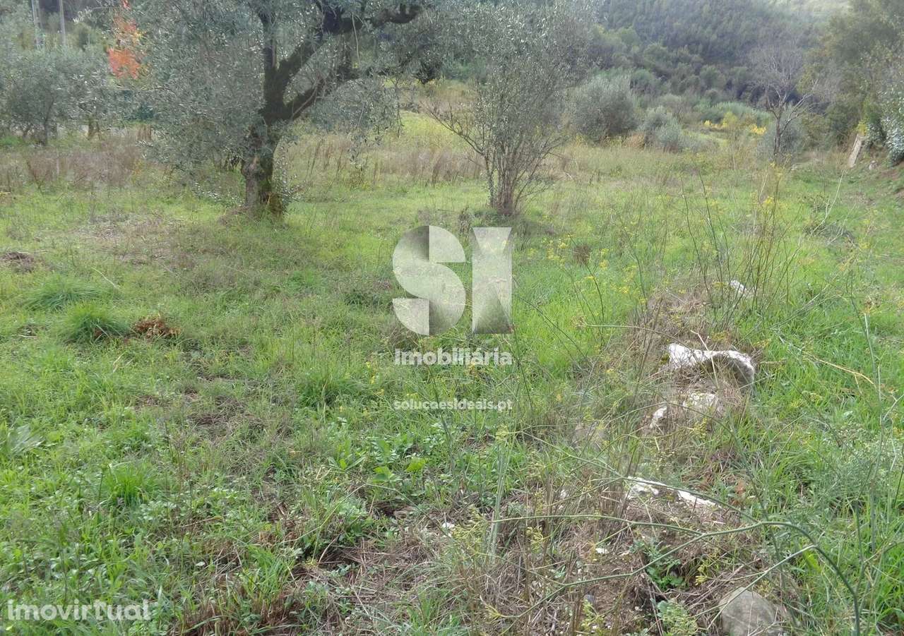 Terreno em Lousã - Grande imagem: 4/11