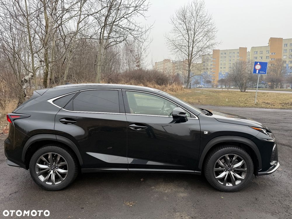 Lexus NX 2019