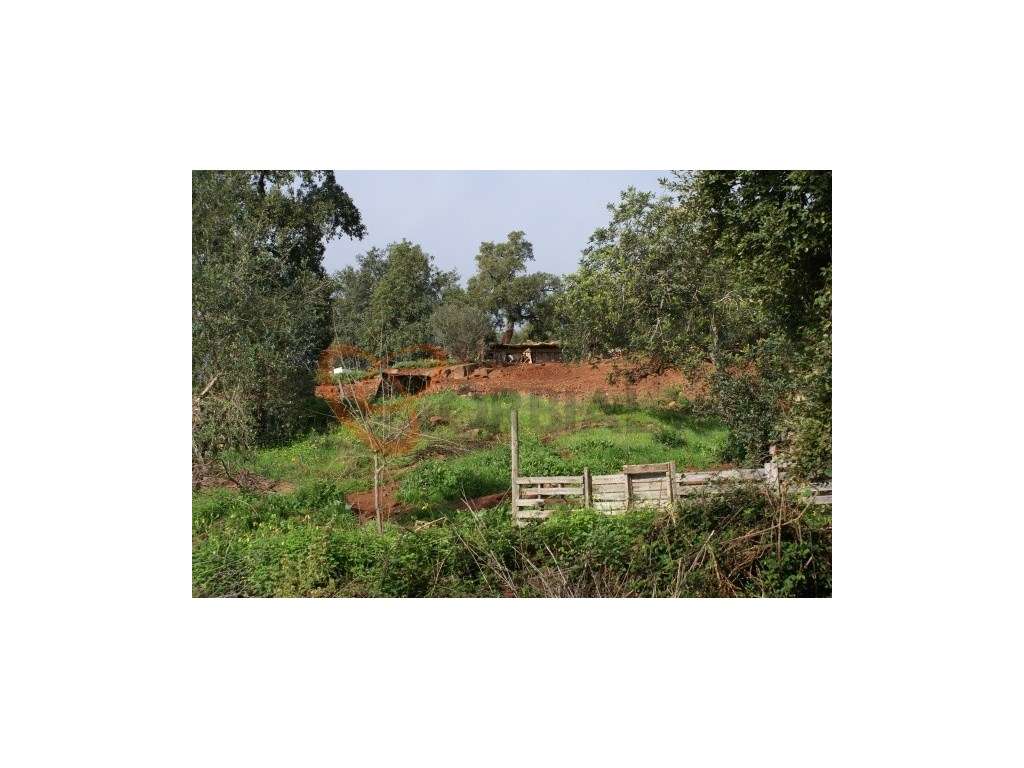 Terreno para venda com viabilidade de construção, Algarve. - Grande imagem: 3/7
