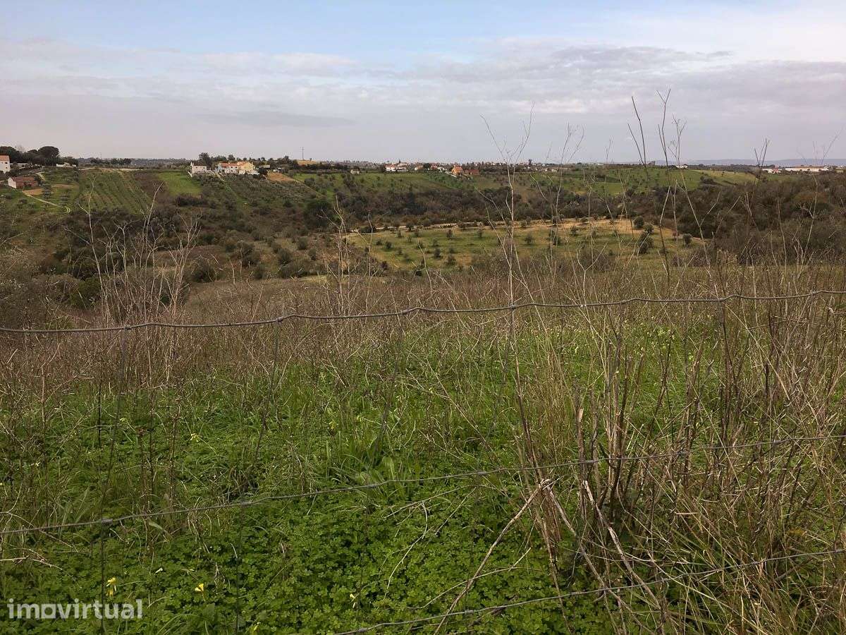 Terreno com 12280 m2 - Grande imagem: 5/8