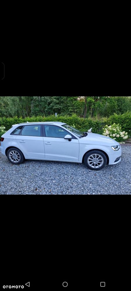 Audi A3 Sportback 1.6 TDI Sport S tronic - 3