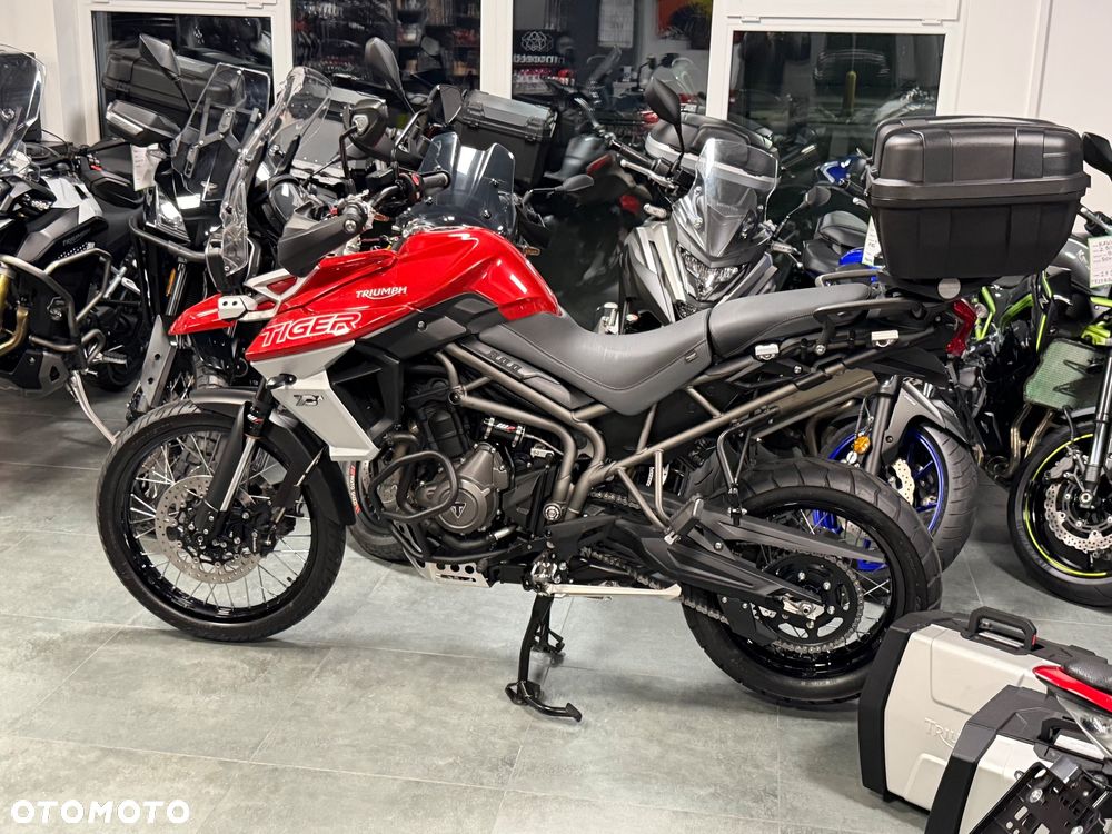 Triumph Tiger - 27