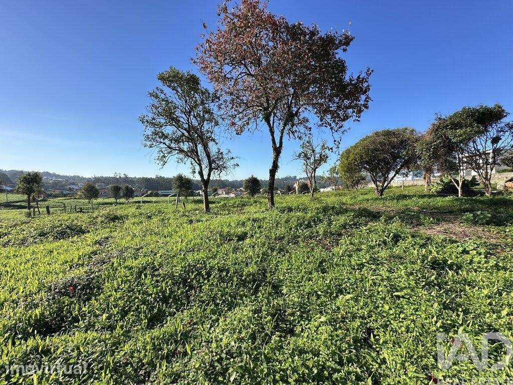 Quinta em Vila Cova e Feitos de 210 m2 - Grande imagem: 4/40