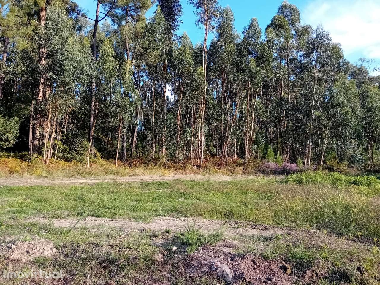 Terreno para construção - Grande imagem: 5/6