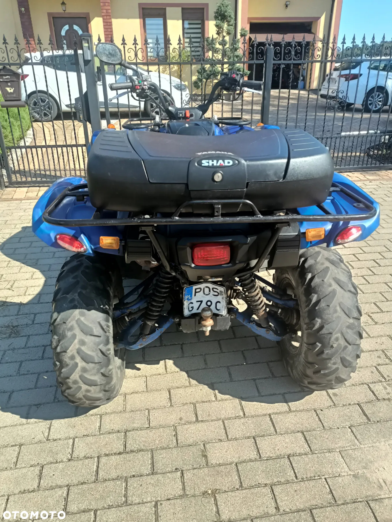 Yamaha Grizzly - 22